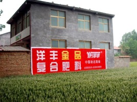 衢州如何让墙体广告展现最大化效果
