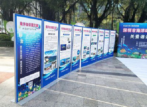 衢州KT板的种类和知识。